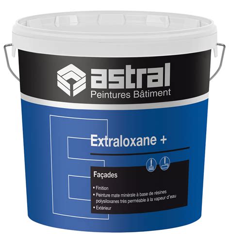 Astral Peinture Batiment Resine De Protection Pour Peinture