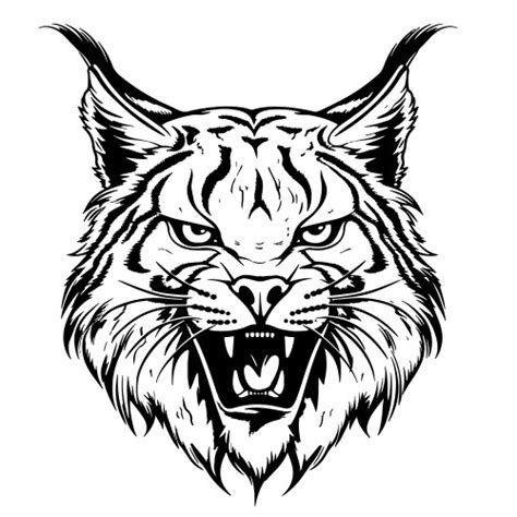 Cute lynx face hand drawn sketch Royalty Free Vector Image