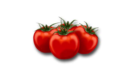 Animated Tomatoes Beautiful Tomato Animations Your Website Name