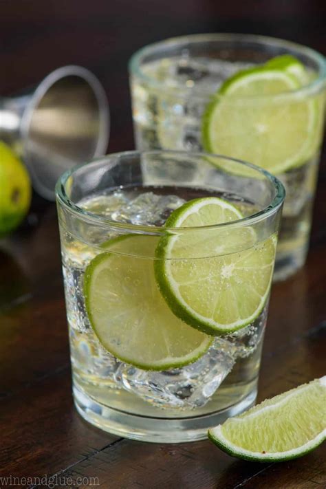 Gin And Tonic Recipe Artofit