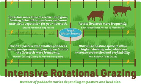 Rotational Grazing For Livestock Ifas Helping To Grow Blog