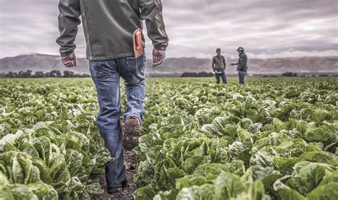 Farmer photography and agriculture photography | Boise Commercial ...