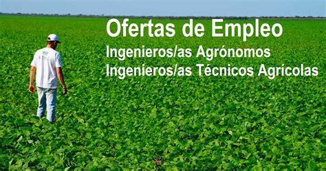 MiAgronomo es Ingeniería Agricultura y Agua Ofertas de Empleo para