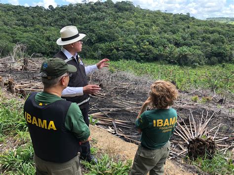 Atlas Da Mata Atl Ntica Mostra Estados Desmatamento Em Alta