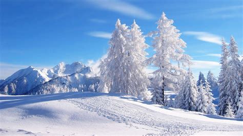 Free Wallpapers Winter Scenes - Wallpaper Cave