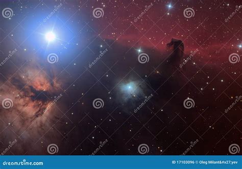 Horsehead Nebula In Orion Royalty-Free Stock Image | CartoonDealer.com ...