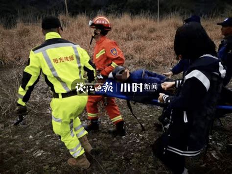 立大功了！转塘四条狗狗耗时9分钟，在山沟里找到了走丢老人训导员