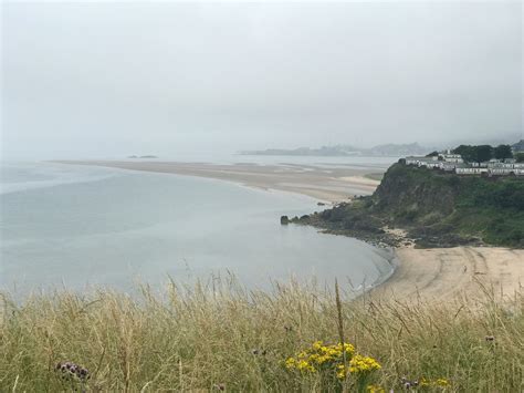 {Scotland} Kinghorn & Pettycur Beach – The Bear & The Fox