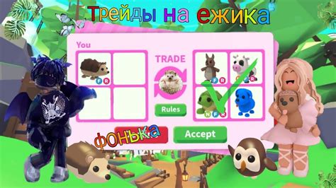 Трейды на райд ëжика в 2023 году Adopt Me Roblox Youtube