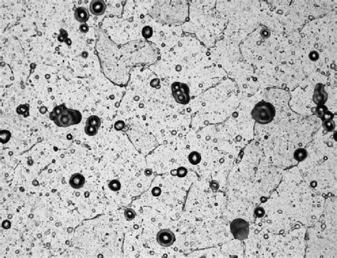 Shows The Microstructure Of The Al Mg Alloy In The Annealed Condition Download Scientific