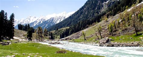 Top 15 Things To Do In Kashmir To Explore The Valley Deeply