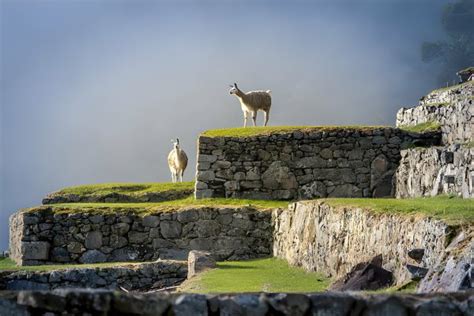 Explore Cusco Sacred Valley And Machu Picchu With Peruways Peruways