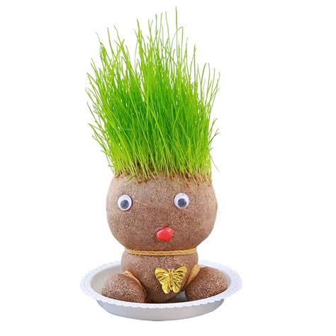 Home Decor Small Growing Grass Head Doll Plant Artificial Grass Decorations Home Aliexpress