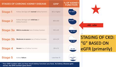 PA 571 Chronic Kidney Disease CKD Flashcards Quizlet