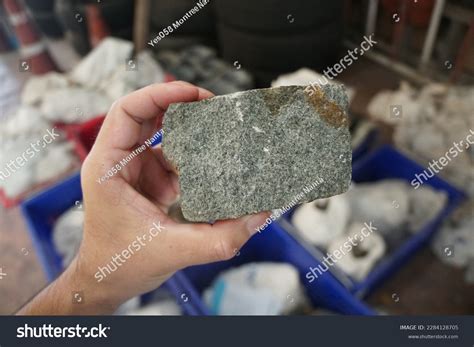 Geologist Holding Andesite Volcanic Rock Stone Stock Photo