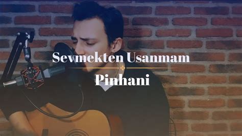 Pinhani Sevmekten Usanmam Cover Jackson Lerry Youtube