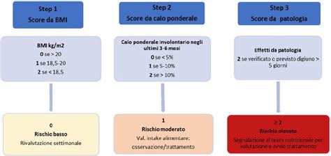 Malnutrition Universal Screening Tool Must Download Scientific Diagram