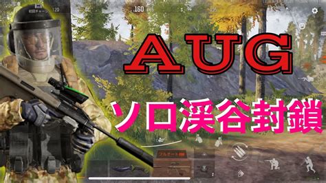 新武器aゆうじ【アリーナブレイクアウト】【アリブレ】アリーナブレイクアウトゴールデンライオンズリーグ Arenabreakout