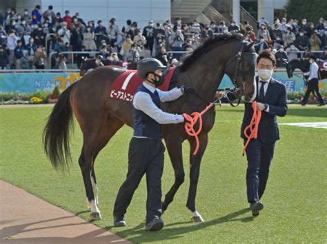 【皐月賞】栗東レポート ビーアストニッシド飯田雄三調教師 競馬ニュース Netkeiba