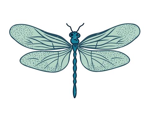 Premium Vector Dragonfly Doodle Vector Illustration