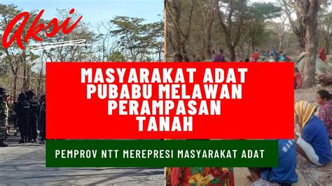 Aksi Masyarakat Adat Pubabu Besipae Tts Ntt Lawan Aksi Penggusuran