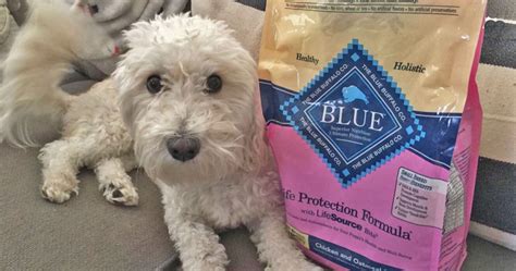 Blue Buffalo Senior Dog Food 15-Pound Bag Just $17 Shipped at Amazon