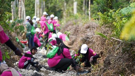 Aeon Sasar Tanam 30000 Pokok Menjelang 2024 Menerusi Program Kerjasama