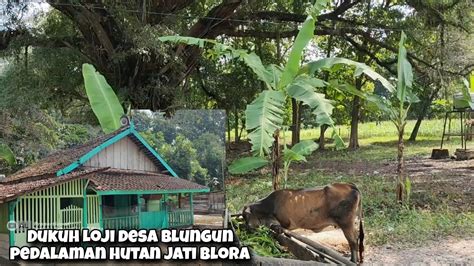 Blusukan Dukuh Loji Di Pedalaman Hutan Jati Blora Konon Katanya