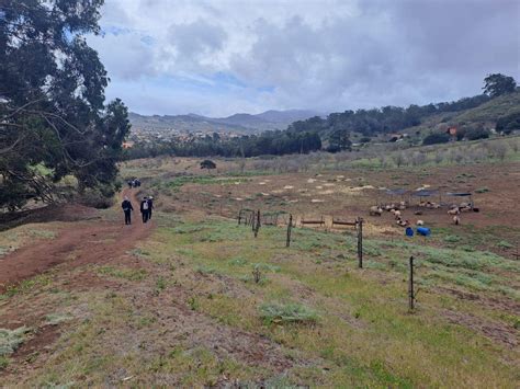 El Cabildo Fomenta El Cuidado Del Territorio Y El Medio Ambiente En La