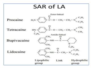 Local Anesthetics Medicinal Chemistry PPT