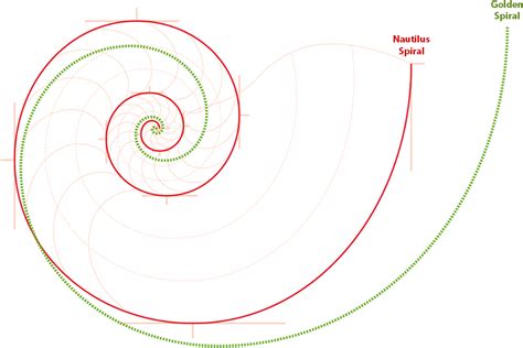 Fibonacci Spiral Png Images 100