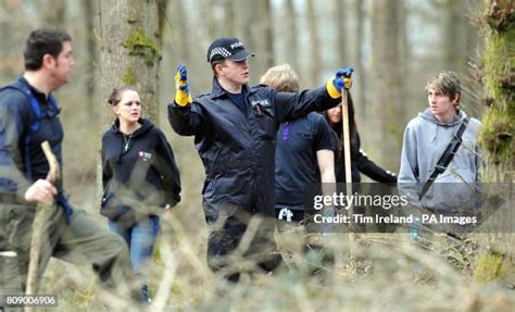 92 Savernake Forest Stock Photos, High-Res Pictures, and Images - Getty Images