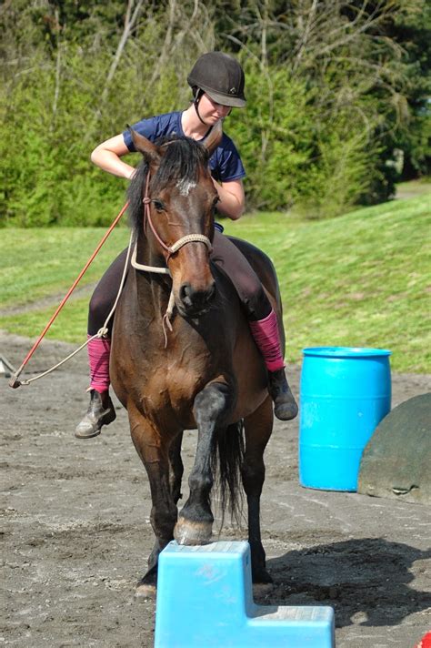 Annabanana: Horse Tricks With Lux