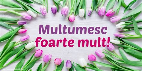 Felicitari De Multumire Multumesc Foarte Mult