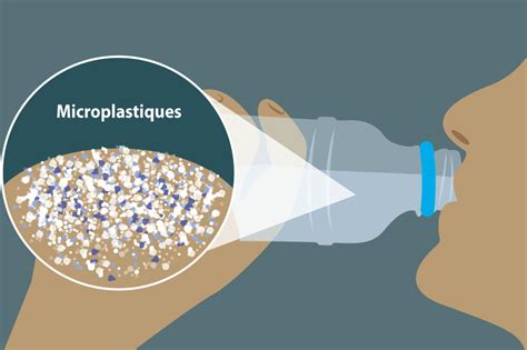 Pollution Plastique D Finition Causes Et Cons Quences Conservation