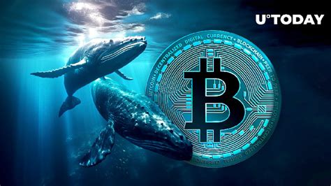 78 millions de dollars de Bitcoin déposés sur Kraken par Major Whale