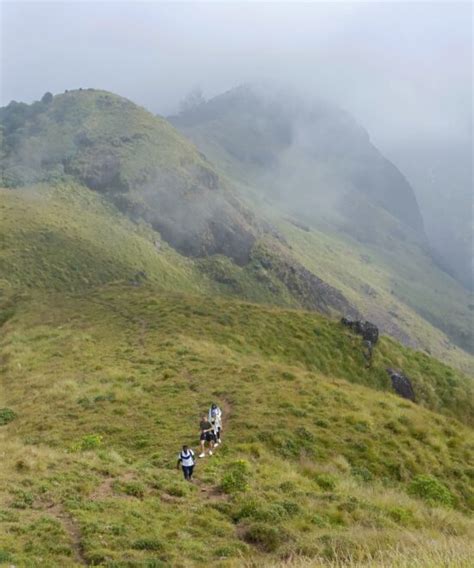 Munnar Jeep Safari | Jeep Safari in Munnar | Off Road Safari Munnar ...