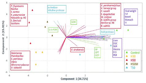 Principal Component Analysis Biplot Showing Grouping Of Treatments And