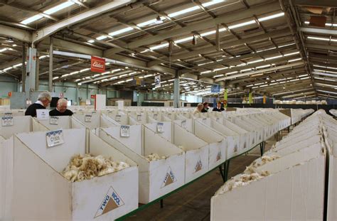 Australian Wool Prices Plummet As Chinese Mills Seize Control Of Bidding Tvts