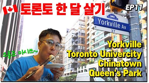 캐나다 한달살기 🇨🇦 토론토 여행 토론토의 청담동 욕빌 투어 Yorkville Toronto Univercity