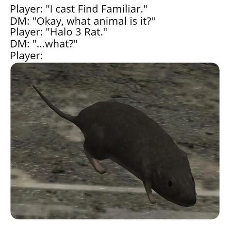 I Cast Find Familiar | Halo 3 Rat | Know Your Meme