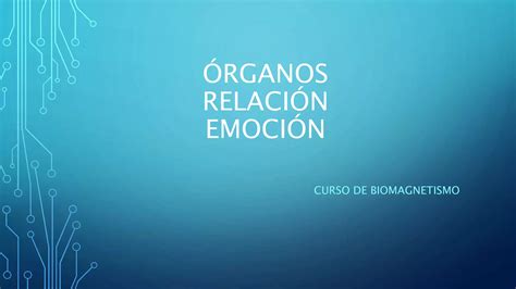 Organos Relacion Emocional Y Mental PPT