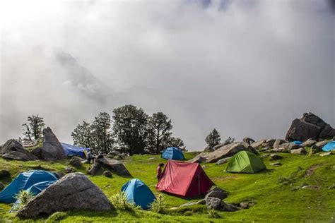 Camping in Wellington: 5 Best Spots for Camping