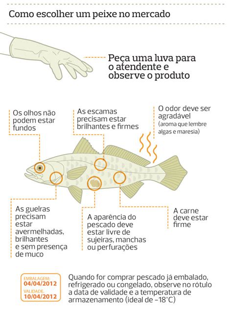 ENG PESCA XIQUE Peixes Saiba Como Escolher E Armazenar