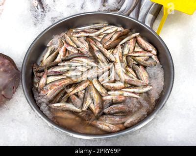 Fresh Fish Red Mullet Barbun Seafood For Sale At A Store Display In