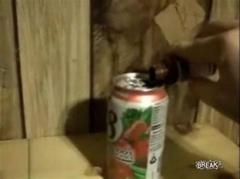 Ipecac Vomit Prank Gay Bizarre Porn At ThisVid Tube