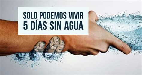 Cu Nto Aguanta Una Persona Sin Beber Agua Waterlogic Waterlogic