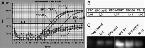 Quantitative Real Time And Rtpcr Results A Quantitative Real Time