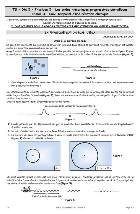Solution Ts Dm Physique Les Ondes M Caniques Progressives P