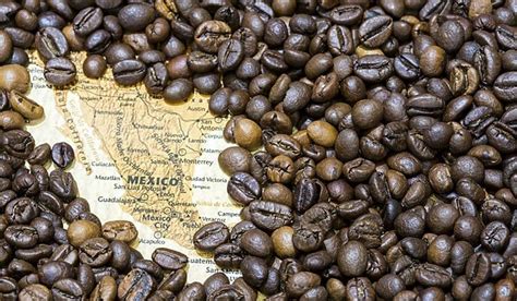 Explora La Rica Historia Del Caf Mexicano Aromas Sabores Y Tradici N